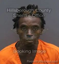Mugshot of DARIUS DARNELL BROWN booked in Hillsborough County, Florida on June 17, 2026