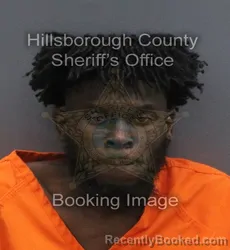Mugshot of YURI DESHAWN LEROI TURNER booked in Hillsborough County, Florida on June 17, 2026