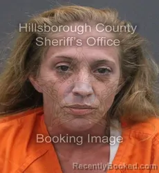 Mugshot of SAMANTHA VANVLEET booked in Hillsborough County, Florida on June 17, 2026