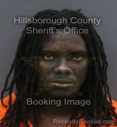 Mugshot of BRANDON ADAMS booked in Hillsborough County, Florida on June 17, 2026