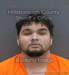 Mugshot of ETHAN OVED RIVERA booked in Hillsborough County, Florida on June 17, 2026