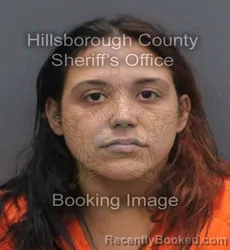 Mugshot of LAKYA SKI SANCHEZ booked in Hillsborough County, Florida on June 17, 2026