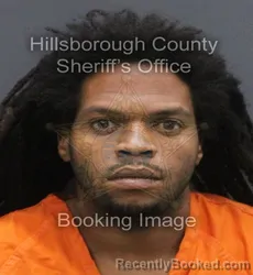 Mugshot of GABRIEL MAJOR BRYANT booked in Hillsborough County, Florida on June 17, 2026