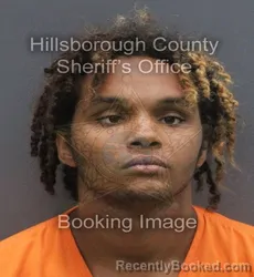 Mugshot of DESHAWN AKARI GIPSON booked in Hillsborough County, Florida on June 17, 2026