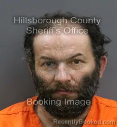 Mugshot of TIMOTHY PHIL COLLINS II booked in Hillsborough County, Florida on June 17, 2026