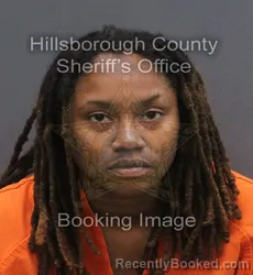 Mugshot of KIARA SILVER EVANS booked in Hillsborough County, Florida on June 17, 2026