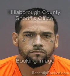 Mugshot of MICHAEL ROSARIO booked in Hillsborough County, Florida on June 17, 2026
