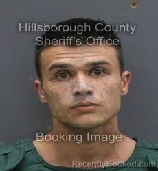 Mugshot of JACOB ANISE ADDECHE booked in Hillsborough County, Florida on June 17, 2026
