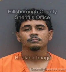 Mugshot of ADRIAN JOEL YANDEL RIJOS booked in Hillsborough County, Florida on June 17, 2026