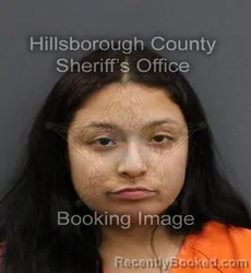 Mugshot of JALEEN FELIX booked in Hillsborough County, Florida on June 17, 2026