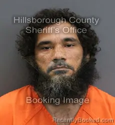 Mugshot of JAMES A HITCHMAN booked in Hillsborough County, Florida on June 17, 2026