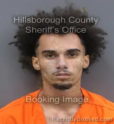 Mugshot of KEAGAN TOBIAS MOSLEY booked in Hillsborough County, Florida on June 17, 2026