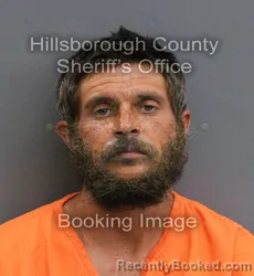 Mugshot of RYAN MICHAEL RUBIN booked in Hillsborough County, Florida on June 17, 2026