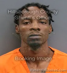 Mugshot of MANUEL JULIAN BROWN booked in Hillsborough County, Florida on June 17, 2026