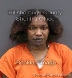 Mugshot of CHRISTI MICHELLE WHITE