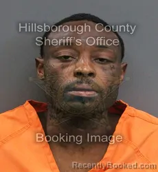 Mugshot of KEVIN HENDERSON booked in Hillsborough County, Florida on June 17, 2026