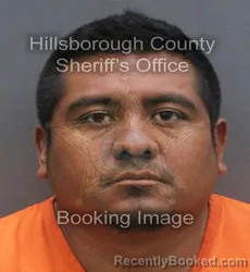 Mugshot of NANDIER EPIFANI MORALES MONTEJO booked in Hillsborough County, Florida on June 17, 2026