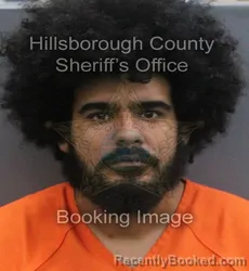 Mugshot of ANTONIO LEANDRO MIRANDA booked in Hillsborough County, Florida on June 17, 2026