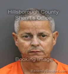 Mugshot of FAUSTO PERALTA booked in Hillsborough County, Florida on June 17, 2026