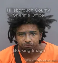 Mugshot of SHAROD QUANTERIOUS LEE booked in Hillsborough County, Florida on June 17, 2026