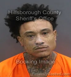 Mugshot of KYLE ALEC SULLEN booked in Hillsborough County, Florida on June 17, 2026
