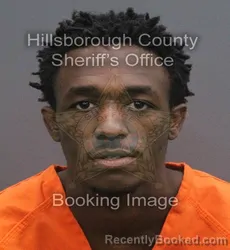 Mugshot of TEVIN MCDONALD booked in Hillsborough County, Florida on June 17, 2026