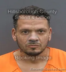 Mugshot of MARTIN EDUARDO MARTINEZ booked in Hillsborough County, Florida on June 17, 2026