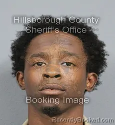 Mugshot of STEFON JAVARIUS JOHNSON booked in Hillsborough County, Florida on June 17, 2026