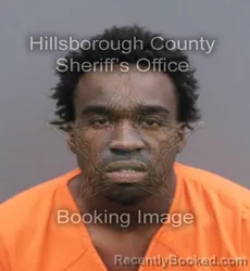 Mugshot of CARLREVIUS LEO WASHINGTON booked in Hillsborough County, Florida on June 17, 2026