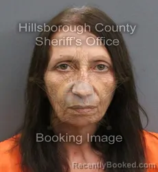 Mugshot of ANTOINETTE MORELLO booked in Hillsborough County, Florida on June 17, 2026