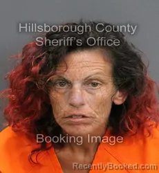 Mugshot of ASHLEY WALDEN booked in Hillsborough County, Florida on June 17, 2026