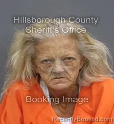 Mugshot of JANELLE LYNN GARDNER booked in Hillsborough County, Florida on June 17, 2026