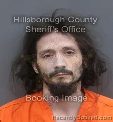Mugshot of BRANDAN LEE FISHER-SPHAR booked in Hillsborough County, Florida on June 17, 2026