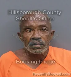 Mugshot of LOUVON WILLIAMS booked in Hillsborough County, Florida on June 17, 2026