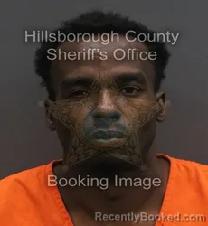 Mugshot of MARK SHELDON BROWN booked in Hillsborough County, Florida on June 17, 2026