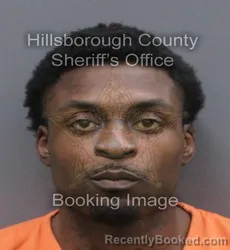 Mugshot of MARCELLO LENAIL J ESTER booked in Hillsborough County, Florida on June 17, 2026