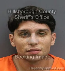Mugshot of BRANDON MICHAEL SIMMONS booked in Hillsborough County, Florida on June 17, 2026