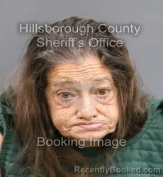 Mugshot of TAMMIE SUE FLOWERS booked in Hillsborough County, Florida on June 17, 2026