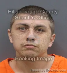 Mugshot of DAKOTA ANTHONY PAUL RODRIGUEZ booked in Hillsborough County, Florida on June 17, 2026