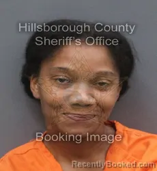 Mugshot of SHAQUON NICOLE BURNEY booked in Hillsborough County, Florida on June 17, 2026