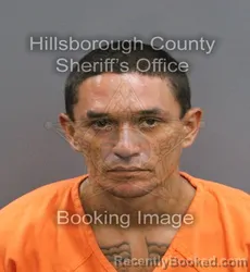 Mugshot of JUAN JOSE JR HERNANDEZ booked in Hillsborough County, Florida on June 18, 2026