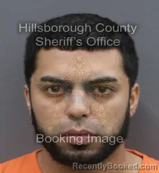 Mugshot of ERIK NIELS JR DEJESUS booked in Hillsborough County, Florida on June 18, 2026