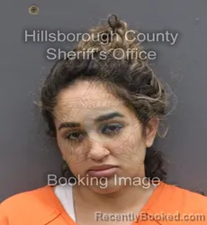 Mugshot of LILIANNYS SILVA AGUILAR