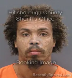 Mugshot of VINCENT ALAN CHARLES booked in Hillsborough County, Florida on June 18, 2026
