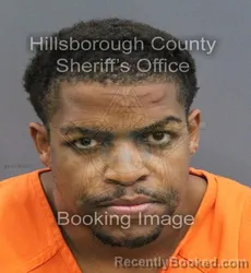 Mugshot of AUSTIN EROL AMEER JOHNSON booked in Hillsborough County, Florida on June 18, 2026