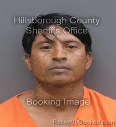 Mugshot of JOSE RAMON FIGUEROA booked in Hillsborough County, Florida on June 18, 2026