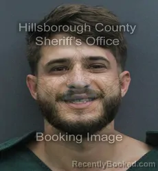 Mugshot of ALEXANDER JAMIS booked in Hillsborough County, Florida on June 18, 2026