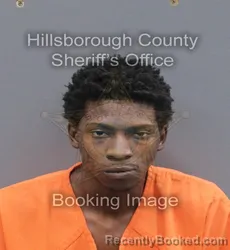Mugshot of TRAVIS TERRILL DAVIS booked in Hillsborough County, Florida on June 18, 2026