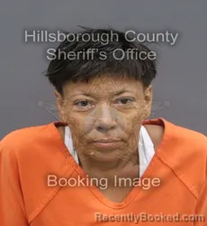 Mugshot of DULCE ANHIL HERNANDEZ booked in Hillsborough County, Florida on June 18, 2026