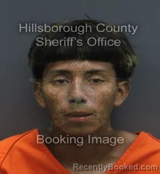 Mugshot of ULISES ROBLES-PEREZ booked in Hillsborough County, Florida on June 18, 2026